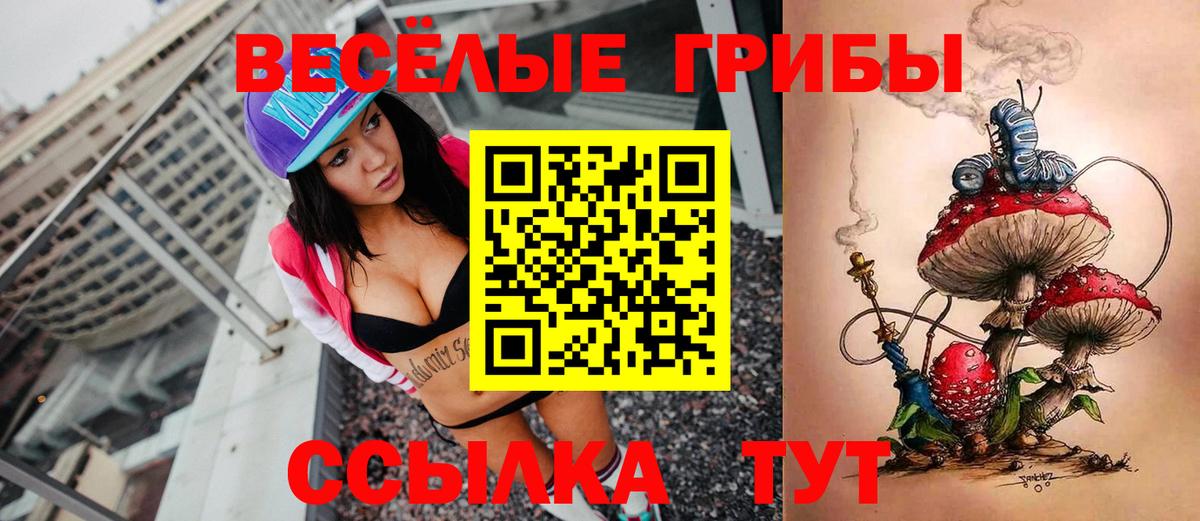 Псилоцибиновые грибы мицелий  Галлюциногенные грибы GOLDEN TEACHER  Псков  Вход с VPN 